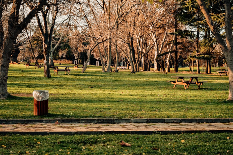 A public park scene during late autumn features a well-maintained grassy area bordered by a paved pathway in the foreground, with fallen leaves scattered across the grass. Several wooden picnic tables with attached benches are positioned throughout the park, some on the grass and some near the trees, which have mostly bare branches with a few remaining leaves in shades of brown and orange. Mature trees with thick, textured trunks cast long shadows across the area, suggesting late afternoon sunlight. In the left foreground, a wooden waste bin with a white plastic bag liner is visible, placed along the edge of the pathway, indicating the park's maintained amenities for waste disposal. The background reveals additional trees and open spaces, with no visible structures or people. The overall scene reflects a quiet, clean outdoor environment suitable for leisure, maintained by local services such as rubbish removal providers to ensure cleanliness and sustainability for public use.